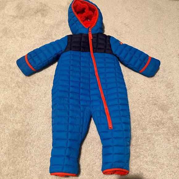 18M Snow Bunting - Picture 1 of 7